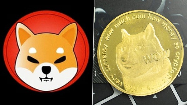 Do you know about Shiba Inu Coin from the Crypto world, does Shiba Inu Coin become the next DogeCoin